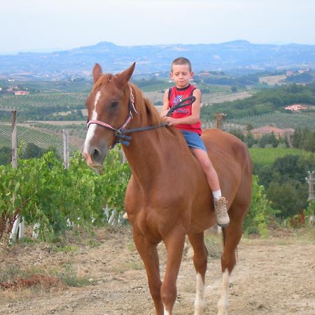סן ג'ימיניאנו Agriturismo Podere La Marronaia מראה חיצוני תמונה