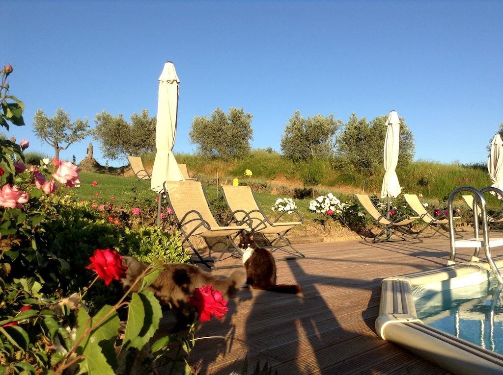 סן ג'ימיניאנו Agriturismo Podere La Marronaia מראה חיצוני תמונה