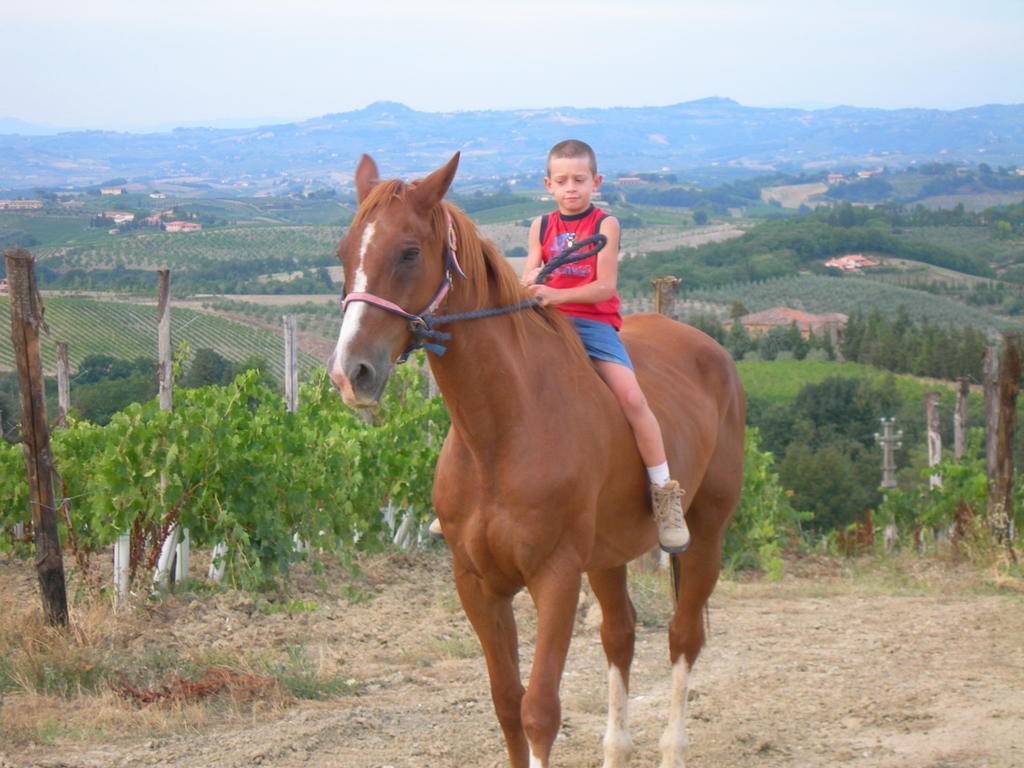 סן ג'ימיניאנו Agriturismo Podere La Marronaia מראה חיצוני תמונה
